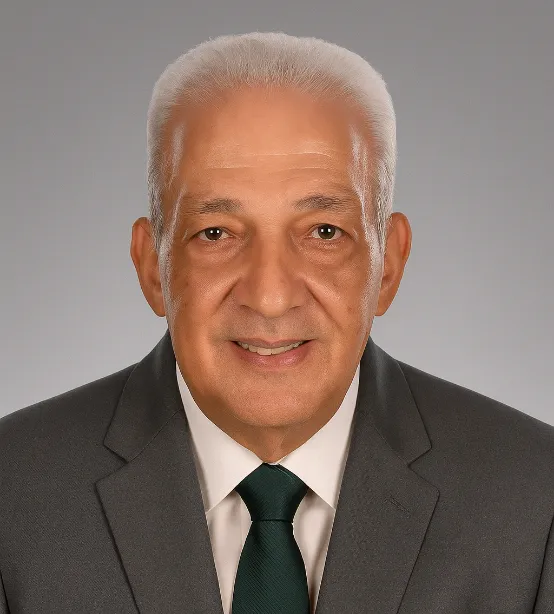 Engr. Amr A. Talaat