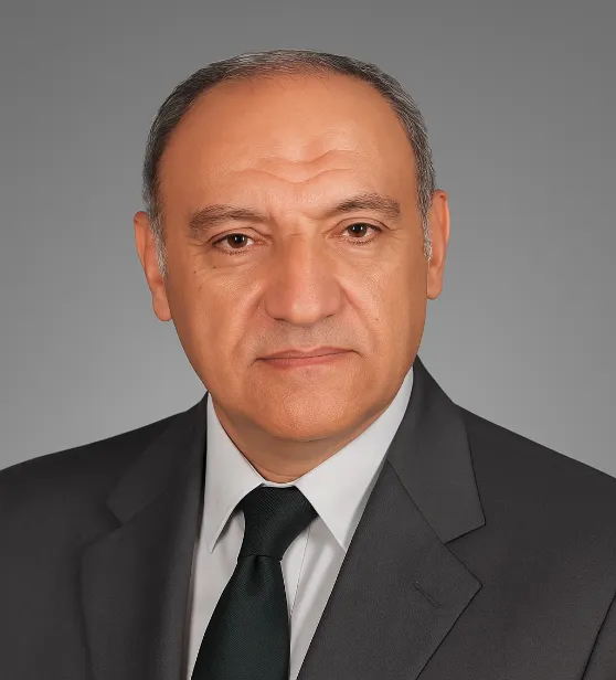 Engr. Hani Mostafa